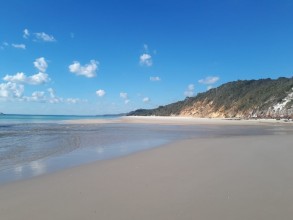 Fraser island & Whales watching